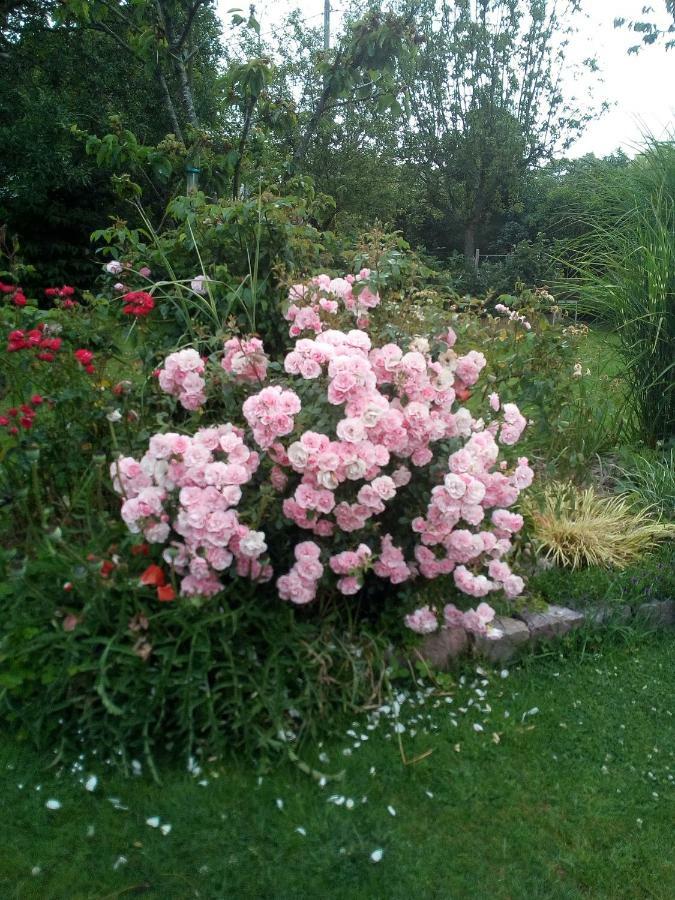 Chez Catherine - Chaumiere Normande Theuville-aux-Maillots Eksteriør bilde